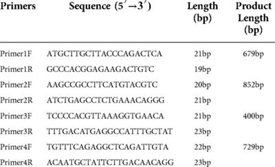 Concurrent newborn hearing and genetic screening of common hearing loss variants with bloodspot-based targeted next generation sequencing in Jiangxi province